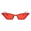 Sunglasses - Cat Eye