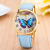 Butterfly Watch - 0113